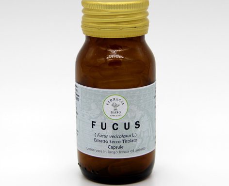 Fucus E.S